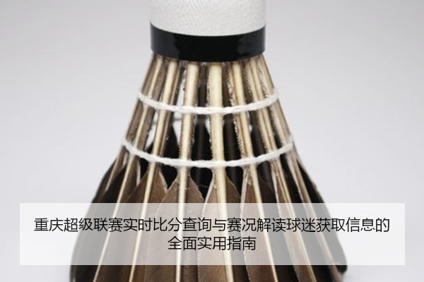重庆超级联赛实时比分查询与赛况解读球迷获取信息的全面实用指南